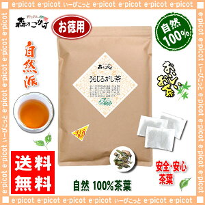 7国産うらじろがし茶(3g×80p)「ティーパック」≪ウラジロガシ茶100％≫裏白樫茶