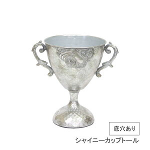 yyz v^[ VCj[Jbvg[ 5041 cY Aؔ ACA Jbv Jbv^  ꌊ  | ƒ؉ K[fjO Ԓd K[f  A   CeA G