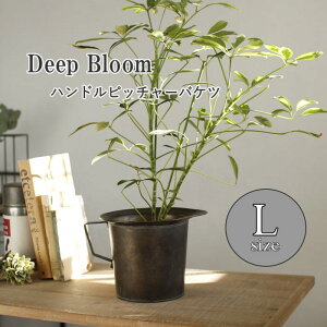 yyz uL|bgyDeep Bloom nhuLsb`[oPcLTCY DTDT6063SW SOWz K[fjO v^[Jo[ t[|bg t[x[X uL Aؔ |bg ԕr Jo[