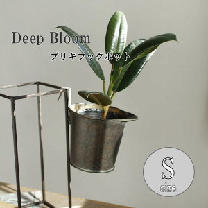 yyz uL|bgyDeep Bloom uLtbN|bgSTCY DTDT6071SW SOWz K[fjO v^[Jo[ t[|bg t[x[X uL Aؔ |bg ԕr Jo[ |bgJo