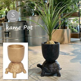 【あす楽】 プランター クロカメポット小 2044 キンカメポット小 2060 村田屋産業 植木鉢 ポット おしゃれ ガーデニング 寄せ植え 鉢カバー プランターポット 多肉植物 室内 屋外 花 観葉植物 インテリア ガーデンオーナメント 庭 ベランダ ガーデン アンティーク