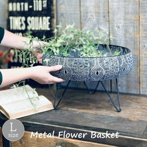 yyz t[X^h ^t[rtoXPbg L FJGK2913SW SOW SCANDINAVIAN v^[  X^h K[fjO 񂹐A |bg  ACA ԑ u ϗtA J