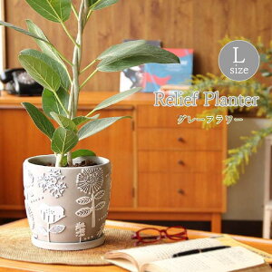 yyz Aؔ  󂯎Mt ی^  O ϗtA [t v^[ LTCY CCGZ2013 CCGZ2023 lCr[t[ O[t[ XpCX SPICE 킢 Jo[ K[f K