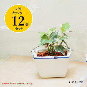 yyz v^[ ~j Aؔ V[u[nh 12Zbg HSJ3306 HSJ3308 XpCX SPICE SPICE OF LIFE ~j|bg Ԋ ȃv^[ A  K[fjO K[fG 