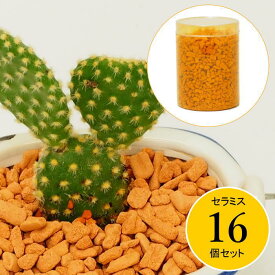 【あす楽】 セラミス ハイドロカルチャー 水耕栽培用セラミス70g（容器入り） 16個セット 水耕栽培 植物栽培 園芸培土 70g 多肉植物 ガーデニング ガーデン雑貨 室内 容器 栽培用土 観葉植物 サボテン 植え替え セラミス植え 室内園芸用土 お手入れ簡単 エコ