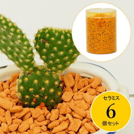 【あす楽】 セラミス ハイドロカルチャー 水耕栽培用セラミス70g（容器入り） 6個セット 水耕栽培 植物栽培 園芸培土 70g 多肉植物 ガーデニング ガーデン雑貨 室内 容器 栽培用土 観葉植物 サボテン 植え替え セラミス植え 室内園芸用土 お手入れ簡単 エコ