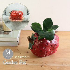 yyz v^[  O  ϗtA x_ Aؔ Xgx[|bg O[v|bg ubR[|bg MTCY BRGD1001M BRGD1002M BRGD1003M SOW |bg K[fjOG 