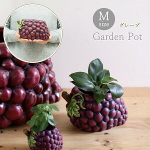 yyz v^[  O  ϗtA x_ Aؔ Xgx[|bg O[v|bg ubR[|bg MTCY BRGD1001M BRGD1002M BRGD1003M SOW |bg K[fjOG 