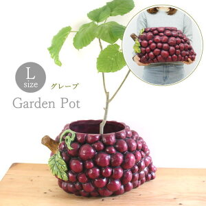 yyz v^[  O  ϗtA x_ Aؔ Xgx[|bg O[v|bg ubR[|bg LTCY BRGD1001L BRGD1002L BRGD1003L SOW K[fjOG 킢 