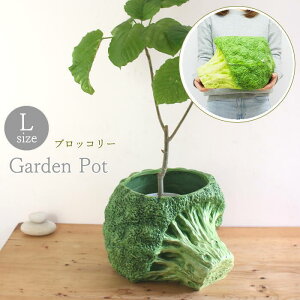 yyz v^[  O  ϗtA x_ Aؔ Xgx[|bg O[v|bg ubR[|bg LTCY BRGD1001L BRGD1002L BRGD1003L SOW K[fjOG 킢 