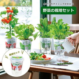 【あす楽】 栽培セット Fresh Feel フレッシュフィール GD-819 聖新陶芸 栽培キット 室内 野菜 栽培 家庭菜園 園芸 収穫 子供 自由研究 食育 観葉植物 初心者 おしゃれ インテリア ギフト お土産 日本製 野菜栽培キット 母の日 父の日 敬老の日 水耕栽培 インバウンド サラダ
