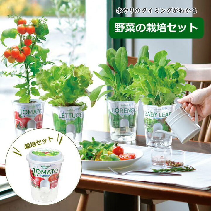 楽天市場】【あす楽】 栽培セット Fresh Feel フレッシュフィール GD 