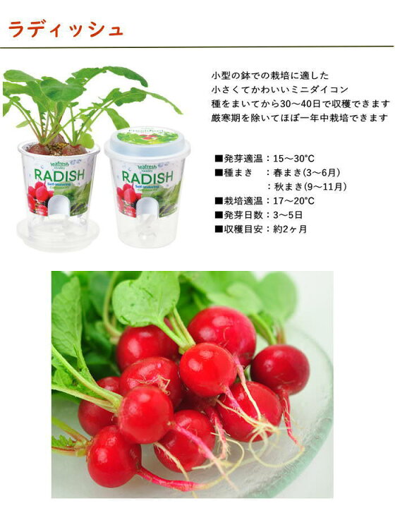 楽天市場】【あす楽】 栽培セット Fresh Feel フレッシュフィール GD 