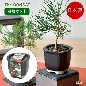 yyz ~ ͔|Zbg The BONSAI ͔|Zbg  ԏ GD-99201 GD-99202 V| ͔|Lbg   ͔| | CoEh yY { ~͔ q R ϗtA S 