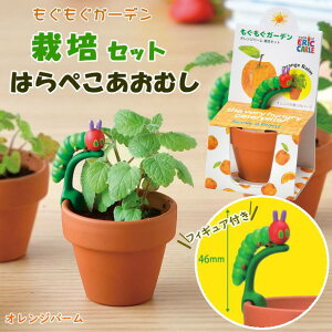 yyz ͔|Zbg ͂؂ނ ͔|K[fZbg HP-0401 HP-0402 HP-0403 V| ͔|Lbg  n[u A   ͔| Lbg ƒ؉ | q R ϗtA 