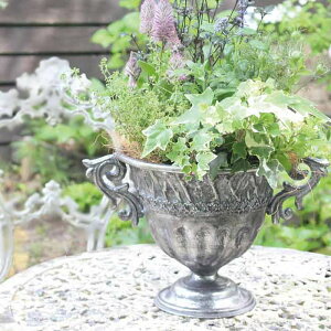 yyz v^[ Vo[Jbvtbg 5042 cY Aؔ ACA Jbv Jbv^  ꌊ  | ƒ؉ K[fjO Ԓd K[f  A   CeA G