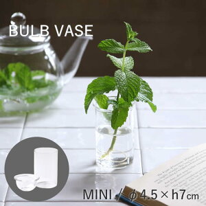 yyz oux[X ~j 7cm k͔| |bg e yMINI BULB VASE ͔|KXx[X NA 7cm KEGY4051SW SOWz ԕr ֑} ͔| KXx[X t[x[X   Vv 