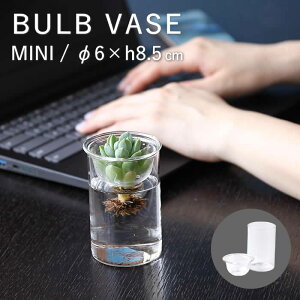 yyz oux[X ~j 8.5cm k͔| |bg e yMINI BULB VASE ͔|KXx[X NA 8.5cm KEGY4052 XpCXz ԕr ֑} ͔| KXx[X KX t[x[X 