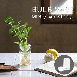 oux[X ~j 11cm k͔| |bg eyMINI BULB VASE ͔|KXx[X NA 11cm KEGY4053SW SOWz ԕr ֑} ͔| KXx[X t[x[X   Vv   }