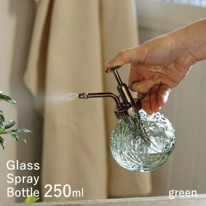 yyz KXXv[{g SXGY1010AMSW Ao[ SXGY1010CLSW NA SXGY1010GRSW O[ SXGY1010PUSW p[v SOW 250ml SPRAY Xv[ K[fjO   U K[f K[f