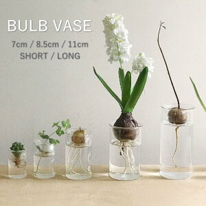 yyz oux[X k͔| |bg e yMINI BULB VASE ͔|KXx[X NA 7cm 8.5cm 11cm V[g O SOWz ԕr ֑} ͔| KXx[X t[x[X   