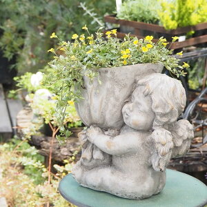 yyz v^[ ی^  ϗtA O  x_ [ GWFK[fu[P 1772 cY Aؔ Zg|bg  ꌊ  | K[fjO Ԓd K[f 