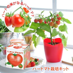 yyz ͔|Zbg g}g ~jg}g n[g}g͔|Lbg GD-1032 E݂ăC`S͔|Zbg GD-1000 V| n[g}g ͔|Lbg   C`S t[c ͔| ƒ؉ q 