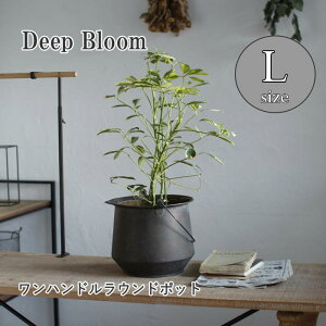 yyz uL|bgyDeep Bloom nhuLEh|bgLTCY DTDT6043SW SOWz K[fjO v^[Jo[ t[|bg t[x[X uL Aؔ |bg ԕr Jo