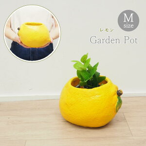 yyz v^[  O  ϗtA x_ Aؔ Xgx[|bg O[v|bg ubR[|bg MTCY BRGD1001M BRGD1002M BRGD1003M SOW |bg K[fjOG 