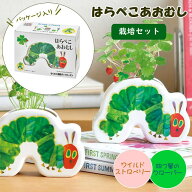【あす楽】 栽培セット はらぺこあおむし わくわく陶器ポットガーデン HP-0601 HP-0602 聖新陶芸 栽培キ…