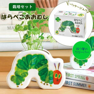 yyz ͔|Zbg ͂؂ނ 킭킭|bgK[f HP-0601 HP-0602 V| ͔|Lbg  n[u N[o[ A   ͔| Lbg ƒ؉ | q R ϗt