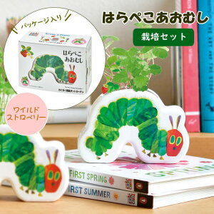 yyz ͔|Zbg ͂؂ނ 킭킭|bgK[f HP-0601 HP-0602 V| ͔|Lbg  n[u N[o[ A   ͔| Lbg ƒ؉ | q R ϗt