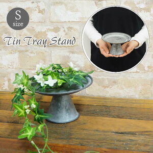 yyz K[fjO gC g[ ԑ u y uLgCX^h STCY BAGT1001 SOW z uL t[X^h  񂹐A ϗtA AeB[N CeA IuW