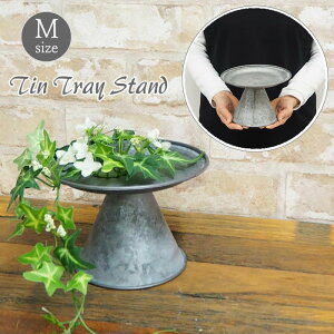 yyz K[fjO gC g[ ԑ u y uLgCX^h MTCY BAGT1002 SOW z uL t[X^h  񂹐A ϗtA AeB[N CeA IuW