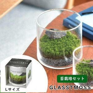 yyz  eE ͔|Zbg GLASSTMOSS OXgX L GD-934 V| ۃeE CeA Lbg ۖ~ ͔|Lbg 뉀 XiSP  ͔| | CoEh yY {