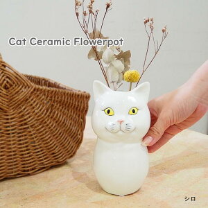 yyz t[x[X ԕr LbgZ~bN t[|bg L 4009567-01 ۘaf ֑} t[X^h Z~bN ˂ L lR k  K[fjO Ԃт } ~ 