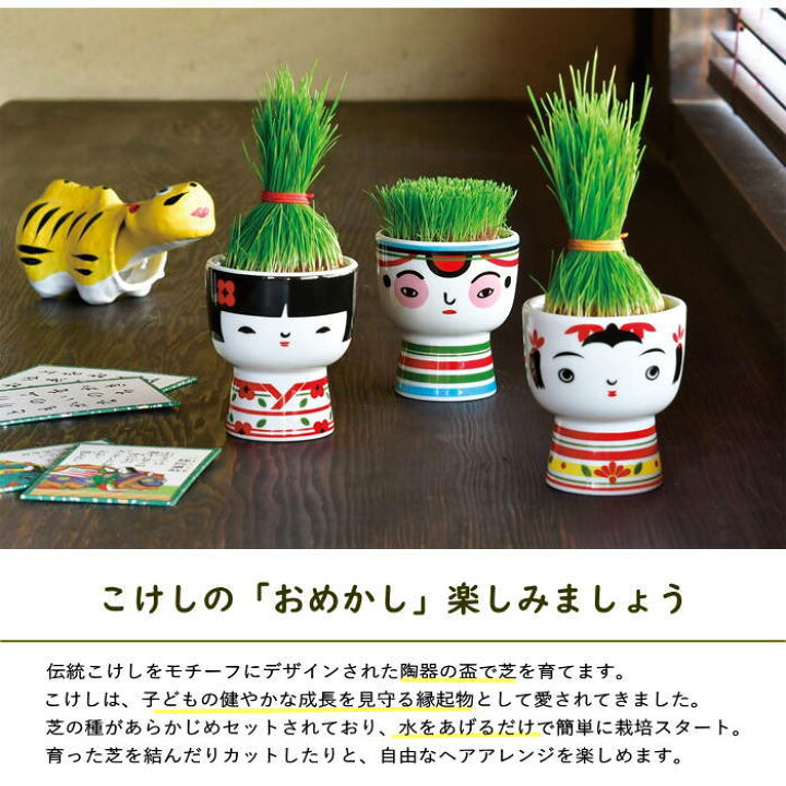 楽天市場】【あす楽】 栽培セット 室内 プレゼント 芝 秋まき 芝って 
