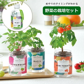 【即出荷】 水耕栽培 水耕栽培キット 栽培セット 観葉植物 ポット 容器 キット おしゃれ バジル ミニトマト イチゴ グリーンペット green pet GD-1002 聖新陶芸 栽培キット 室内 ハーブ 植物 野菜 花 栽培 家庭菜園 子供 自由研究 日本製 インテリア お土産 母の日 かわいい