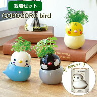【あす楽】 水耕栽培 水耕栽培キット 栽培セット 観葉植物 ポット 容器 キット おしゃれ ミント カモミー…