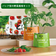 【あす楽】 栽培セット 野菜 キット ミニトマト ベジパック GD-1058 GD-1058-01 枝豆 GD-1058-02 ミニキ…