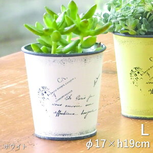 yyz v^[ ^[|bg L zCg CG[ O[ sN 3990 3991 3992 3993 cY |bg K[fjO Aؔ 5.5 񂹐A t[|bg  ی^ ~^  Jo[