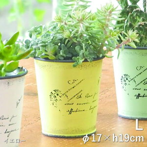 yyz v^[ ^[|bg L zCg CG[ O[ sN 3990 3991 3992 3993 cY |bg K[fjO Aؔ 5.5 񂹐A t[|bg  ی^ ~^  Jo[