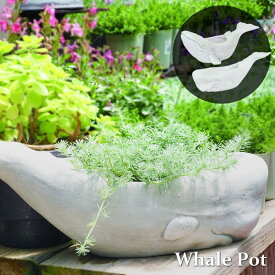 【あす楽】 プランター おしゃれ 屋外 室内 ベランダ 観葉植物 ザトウクジラポット 3254 マッコウクジラポット 3253 村田屋産業 ポット 植木鉢 ガーデニング 園芸ラック 寄せ植え オブジェ インテリア オーナメント ガーデン 園芸 花 玄関 花壇 アニマル 動物 くじら 鯨 海