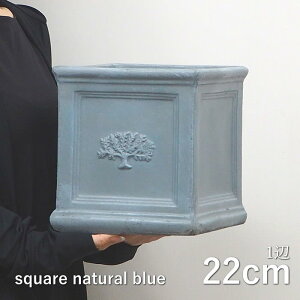 Aؔ  ` lp p^ ϗtA O  XNGA XNGA|bgtHXg6 v^[ 3744 White 3745 BritishGray 3746 Verdigris 3762 NaturalBlue cY 22cm K[fjO t[