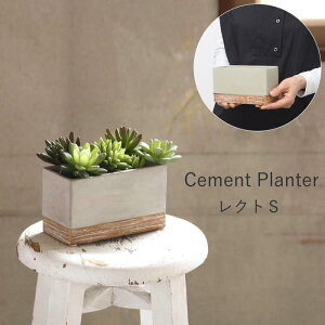 yyz v^[ `  ی^ ~^ p`  lp ` [ 󂯎M ϗtA O  x_ FEEL THE GARDEN Zgv^[ S CBGZ2011SW CBGZ2021SW CBGZ2041SW SOW 3 4 X