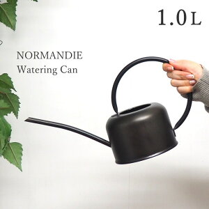�y�����y�z �W���[�� �W���E�� ���傤�� NORMANDIE �A�C�A���n���h�� �u���L�W���[�� �K�����^ 1L HUY805GN SOW ������� ���킢�� �A���e�B�[�N ����� �׌� ������ �K�[�f�� �K�[�f�j���O �V���v
