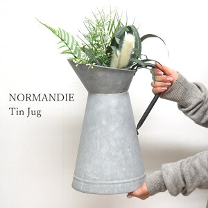 �y�����y�z �u���L �W���O �A���e�B�[�N �W���E�� ������� �k�� NORMANDIE �A�C�A���n���h�� �u���L�W���O HUY700 SOW �t�����[�x�[�X �}�� �u�� ���킢�� �o�P�c �K�[�f�� �K�[�f�j���O �V���v��