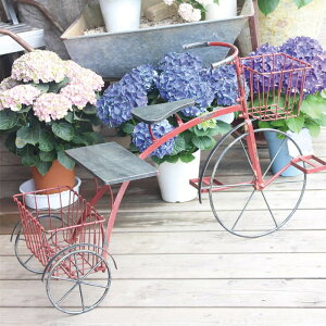 yyz t[X^h K[fgCVNbh 6059 cY ACA  K[fjO ԑ |bN v^[ 񂹐A oXPbg Jo[  O O֎ X