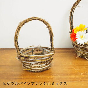 yyz  qQdoCAW~bNX 9913 cY Ԋ oXPbg  AW x[X Ԃ t[AWg  K[fjOG AWgpԊ 