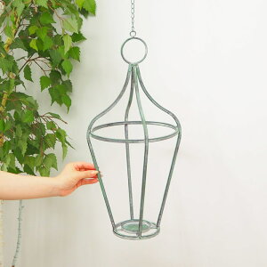 yyz Lhz_[ nOLhz_[ 6067 cY CeA G ACA  IuWF LhX^h  V ݂艺 nMO K[fI[i